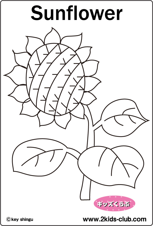 Coloring plant・Sunflower