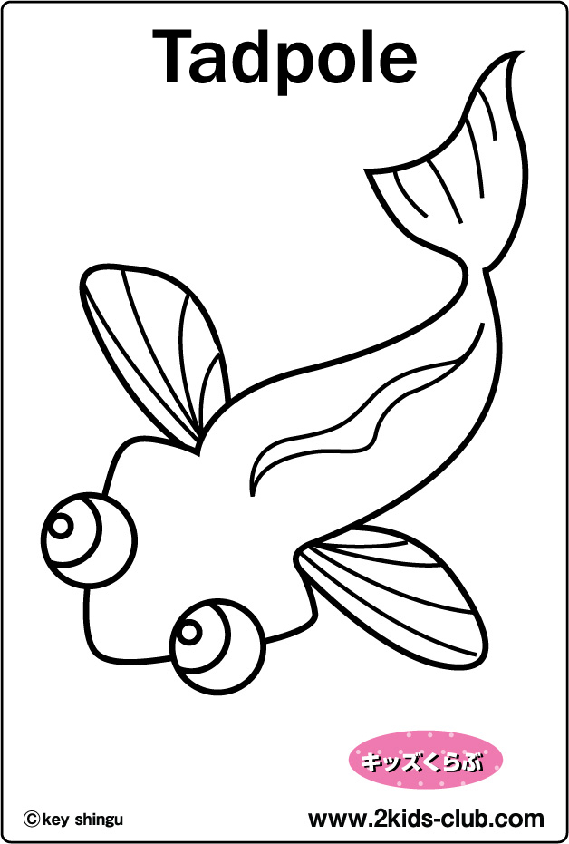 tadpole coloring pages - photo #15