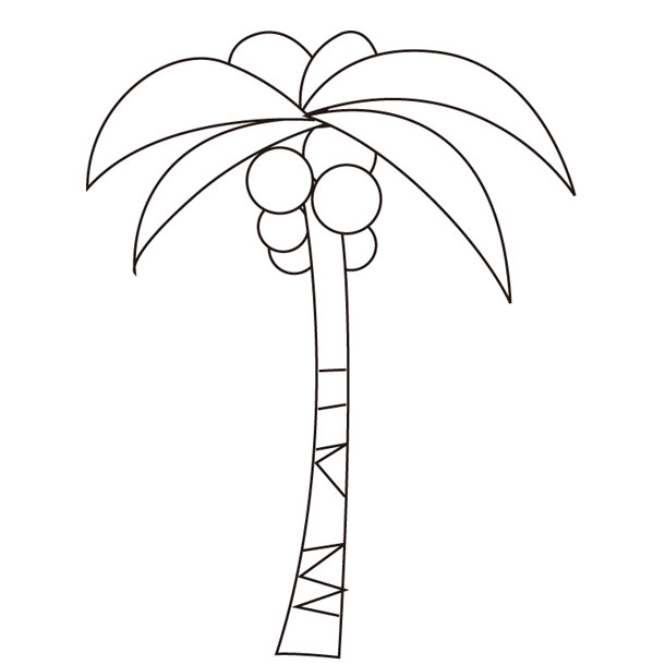 Coloring plant・Coconut